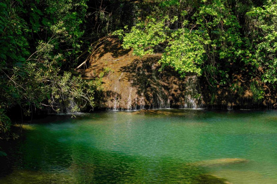Mergulhe nas águas calmas e cristalinas do Jalapão, um refúgio de paz em meio à natureza exuberante.