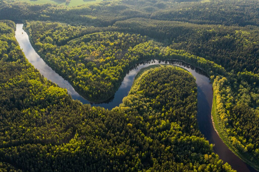 Vista aérea de um rio sinuoso cortando uma vasta e densa floresta, destacando a paisagem exuberante e verde da Amazônia sob a luz do sol.